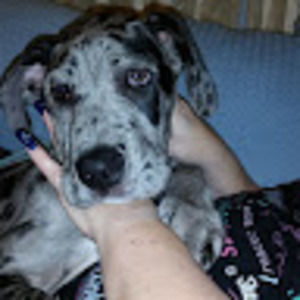 Meet your Posher, Nichole